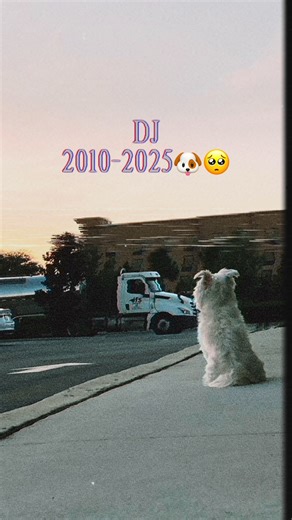 DJ MI PAPI: Te Amo por Siempre, Mi Ángelito