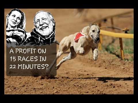 BETTING GREYHOUNDS AT BETFAIR SP - Profit with 3 Dogs per race over the first 15 races of the day?