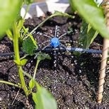 Drippers for Drip Irrigation,15 pcs Quick Connect Drip Emitters for 1/4" Drip Irrigation Tubing Adjustable 360 Degree Water Flow Drip Irrigation Heads Water Drippers for Plants Flower Garden