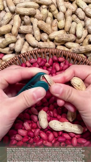 Hand tool that cracks peanut shells cleanly in seconds #relaxing #satisfying #farming #tools