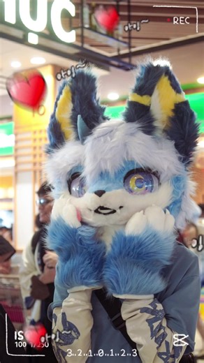 Oops- I drop some cuteness :3 🎞️: Như Ý Ka 📸: Shino Owo 🪡: Thẻoo #CapCut #furry #fursuit #cute #komifestival #cosplay