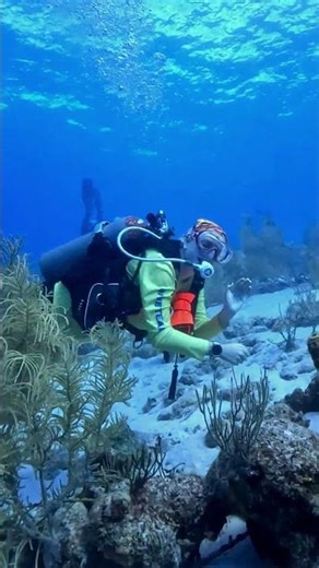 Boat Diving with Ocean Encounters at the Booby Trap Dive Site in Curaçao