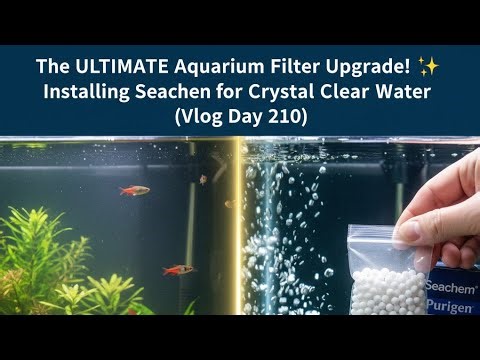 The ULTIMATE Aquarium Filter Upgrade! ✨Installing Seachem Purigen for Crystal Clear Water (Vlog 210)