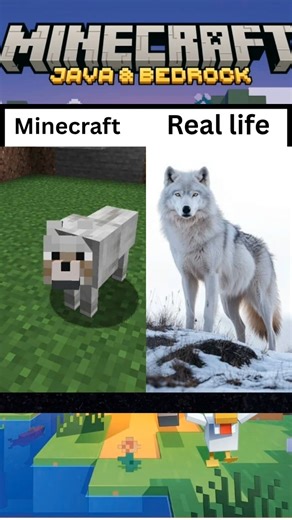 Minecraft Animals In Real Life #minecraft #creeper #
