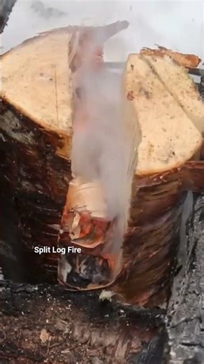 Ultimate Campfire Experience Tips - How to make a FIRE & COOK over it!