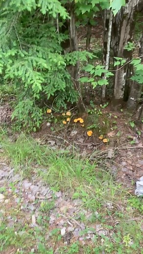 Rise & Shine… | Bob Davis