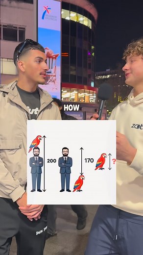 How tall is the parrot? This ones hard to be fair. 😅 #streetinterview #visualpuzzle #trivia #maths #parrot | Brain Wrapped