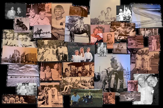 Our Story - Nichols Farms