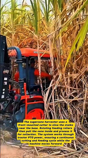 Modern Sugarcane Harvester Tractor | Smart Farming Innovation | Kubota Machine in Action