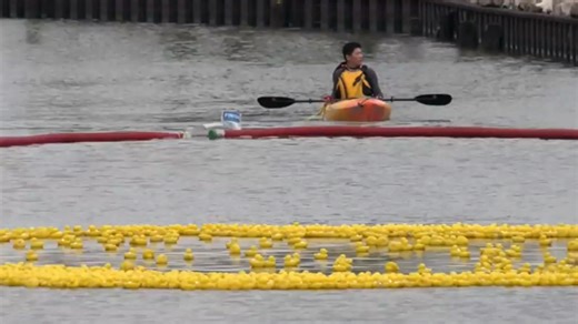 Rubber duck race supports hospice