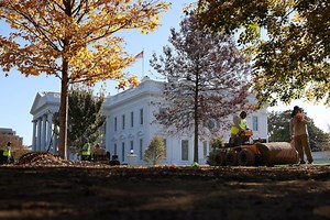 November 10, 2020 - PBS NewsHour full episode