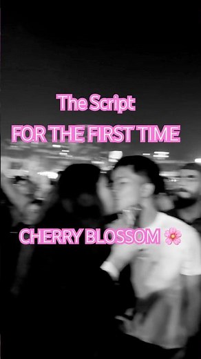 The Script | For The First Time | Cherry Blossom Festival 2025 | ‪@TheScript‬ #livemusic #concert