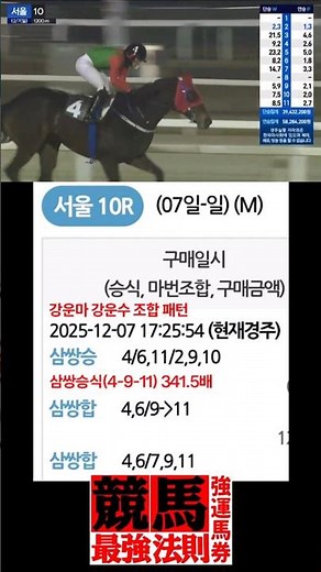 12/7 서울 일요경마 김주리 마사회 아나운서 인사! 경마결과 삼쌍승식 연속 적중 패턴 분석! 경마의신 강운마권