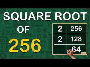 Square root of 256 / 256 ka square root / 256 ka vargmul
