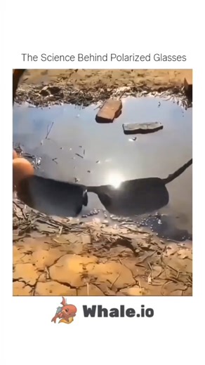 Science Nexa on Instagram: "Polarized glasses reduce glare by filtering reflected light, making vision clearer and more comfortable. This technology helps protect your eyes, improve contrast, and enhance visibility—especially while driving, near water, or in bright sunlight. Science that you can actually see in action! . . DM for credit and removal . #eyescience #polarizedglasses #trending #viral #explore #scienceexploring #sciencefacts #sciencereels #engineeringmarvel #sciencereel #didyouknow"