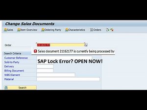 Document being processed by another user? SAP Fix