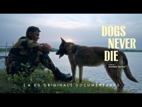 Dogs Never Die - A tale of lesser known soldiers | Indian Army, BSF, CISF | DD Originals Documentary