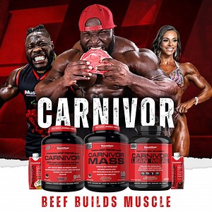 CARNIVOR was voted Muscle Building product of the YEAR by Generation Iron. Millions of consumers have made the switch from whey to CARNIVOR BEEF PROTEIN ISOLATE. Try ALL 9 incredible flavors at 25% OFF! CARNIVOR BEEF PROTEIN ISOLATE 🥩 ✅23g Protein ✅0g Lactose ✅0g Fat ✅0g SUGAR BEEF BUILDS MUSCLE | MuscleMeds Carnivor