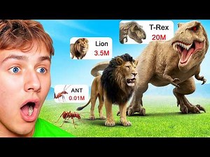 Reacting To Animal Size Comparisons