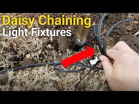 How to Daisy Chain Lights Together | Landscape Lighting