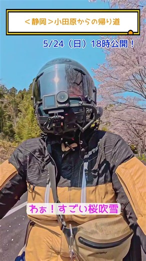 ＜静岡＞小田原からの帰り道 #バイク旅 #カブ旅 #モトブログ #カブ