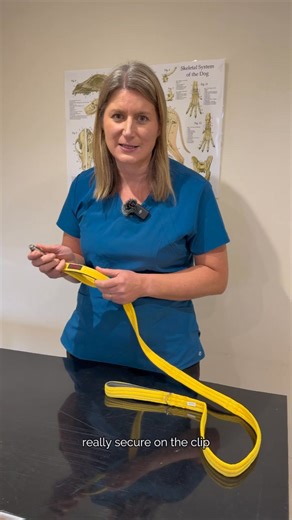 124K views · 113 reactions | Three things we love about the BRIG®...