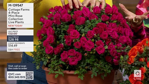 You are watching Inside Q with Mally - Home & Garden Edition on QVC®. Shop the show, here: https://qvc.co/qvcshopnowfebruary2026 | QVC Live