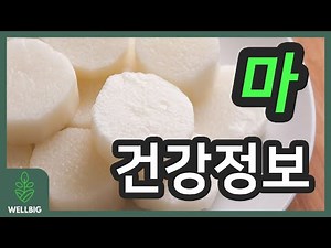 마의 효능 알아보기! 마의 좋은 점, 마 부작용, 마 건강정보