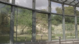 64K views · 1.4K reactions | Join us tomorrow as we unveil our newly...