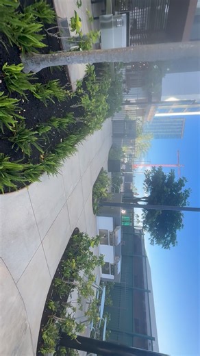 Our resident park. | Robert Alan Shank