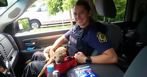 Conservation Officers to the Rescue