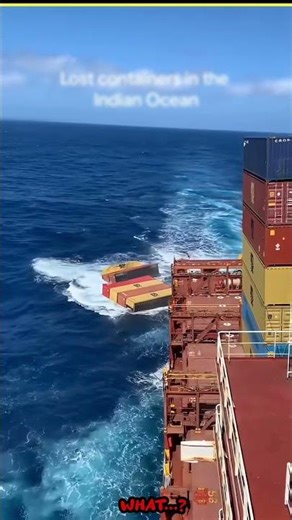 may be you life build from this container #facts