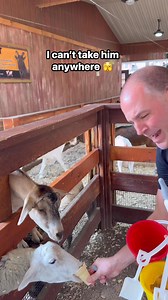 65K views · 1.3K reactions | Even the goats are tired of his shenanigans | A Life Less Scripted | Facebook
