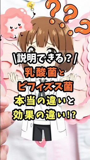 乳酸菌とビフィズス菌の違いを知ってる？どんな役割がある？ #雑学 #健康 #腸活
