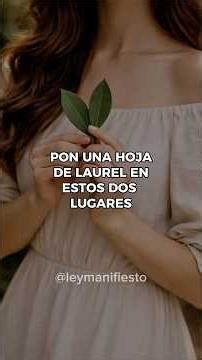 Place a bay leaf in these two places 💵✨ #manifestation #money #manifest #abundance