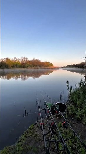 Why aren't the fish biting?