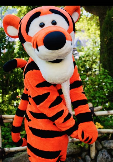 Tigger's Energetic Signature on My Camera Lens
