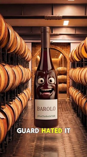 The Barolo Revolution Explained 🍷