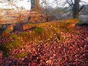 On The Way Home- Buffalo Springfield- 1967