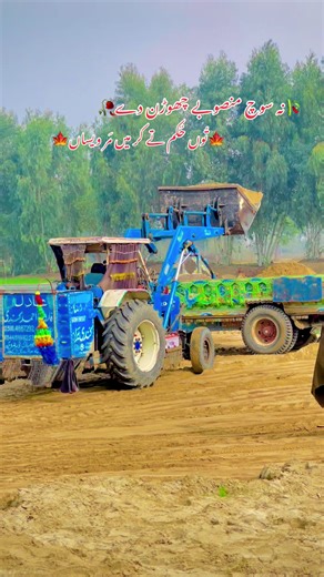 Exploring Emotional Expressions in Pakistani Poetry