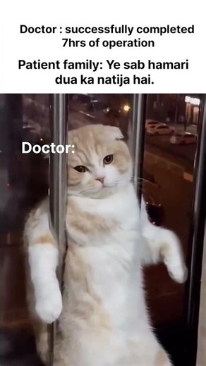 patient family........ #popular #funny #funny #memehub #cat #popular #viral #memes #daliymemes #new