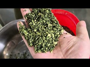 The Production and Processing Process of Matcha Powder & Matcha processing machinery and equipment