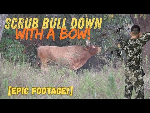 “Bowhunting a Giant Scrub Bull in Australia (Insane Kill Shot + Wild Boar)”
