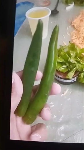 mircha wala hai mircha wala #cartoon #funny #comedy #talkingtom