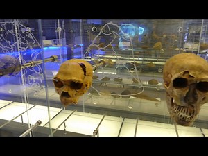 Maropeng - The Cradle of Humankind - SOUTH AFRICA 02/2017