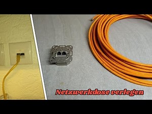 Netzwerkdose verlegen