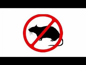 Mouse & Rat Ultrasonic Deterrent | Cat sounds to scare mice away Rat distress call | Sound Mice Hate