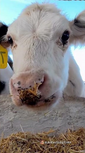 HILARIOUS! 😂 Baby’s Funniest Unexpected Blooper Moment! 🤣 #FunnyBaby #CuteMoment #BabyBloopers