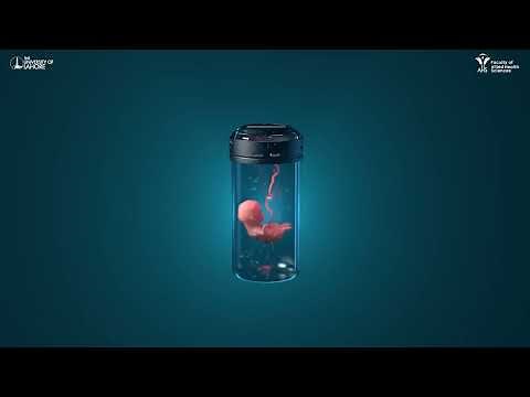 Test-Tube Baby - 3D Animation ‪@uollahorefacultyofalliedhe1051‬