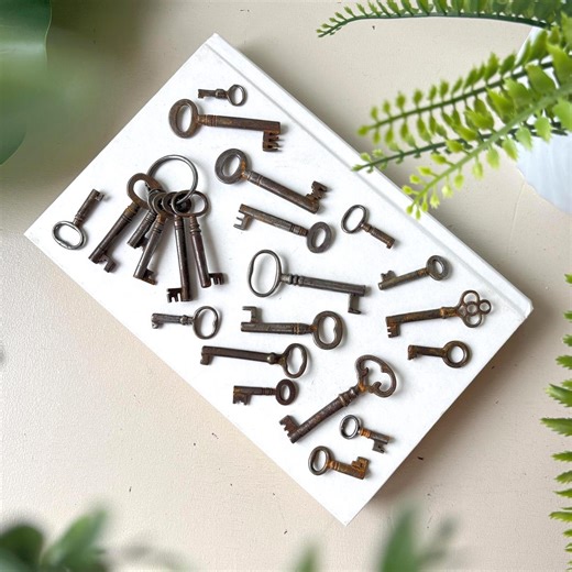 Skeleton Key Set of 22, Vintage 1940s MCM Mid Century Metal Keys Lot - Etsy UK